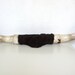 Mounted Bull Horns