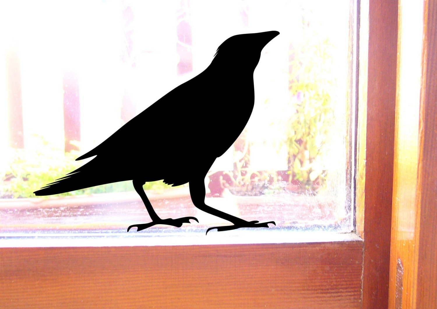 Windows bird. Ворона на окне. Птицы на окно крупно. Ворона и зеркало. Птицы на окно Сказочная фотография.
