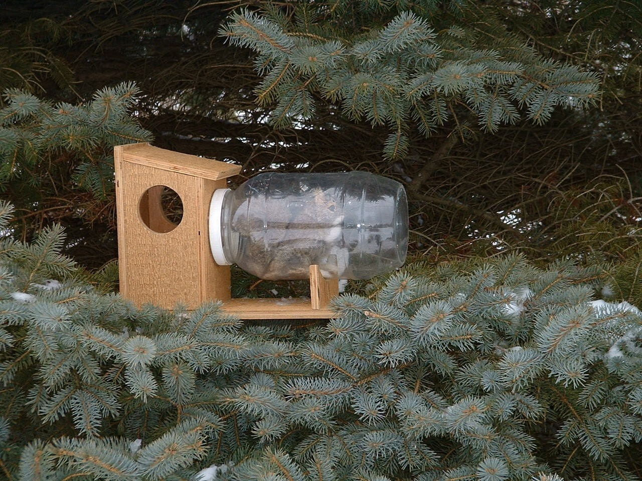 the original squirrel feeder in a jar chipmunks gift idea the original squirrel feeder in a jar chipmunks gift idea