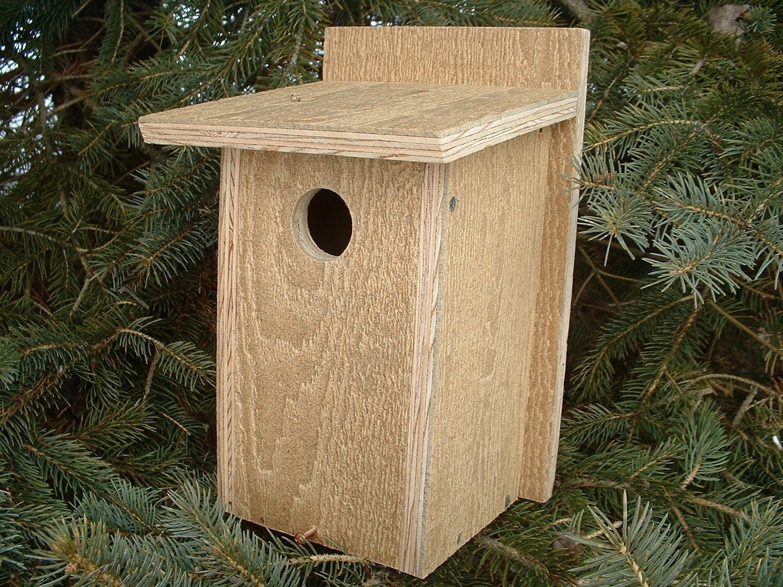 Tree Swallow Birdhouse Plans