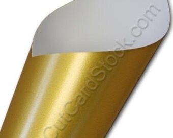 Currency GOLD or SILVER 8.5x11 Duplex 10 pt Cardstock 25 sheets