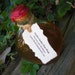 Gerda's Garden Floor Wash - for Love and Wealth