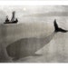 Whale and a Boat- large size