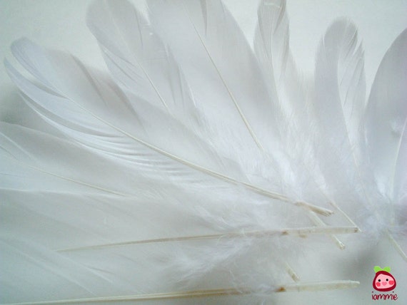 White Fake Feathers artificial feather faux feather fake