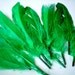 Fake feather, Green Feathers, artificial feather, faux feather, fake, faux, craft supplies, bird, chicken, duck, bright color, leaf green