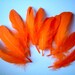 Bright Orange Fake Feathers, faux feather, fake feather, craft supplies, bird, chicken, duck, fire color, party, fancy, parade, show