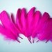 Very Hot Pink Fake Feathers, artificial feather, faux feather, fake, faux, craft supplies, bird, chicken, duck, bright color, fancy, party