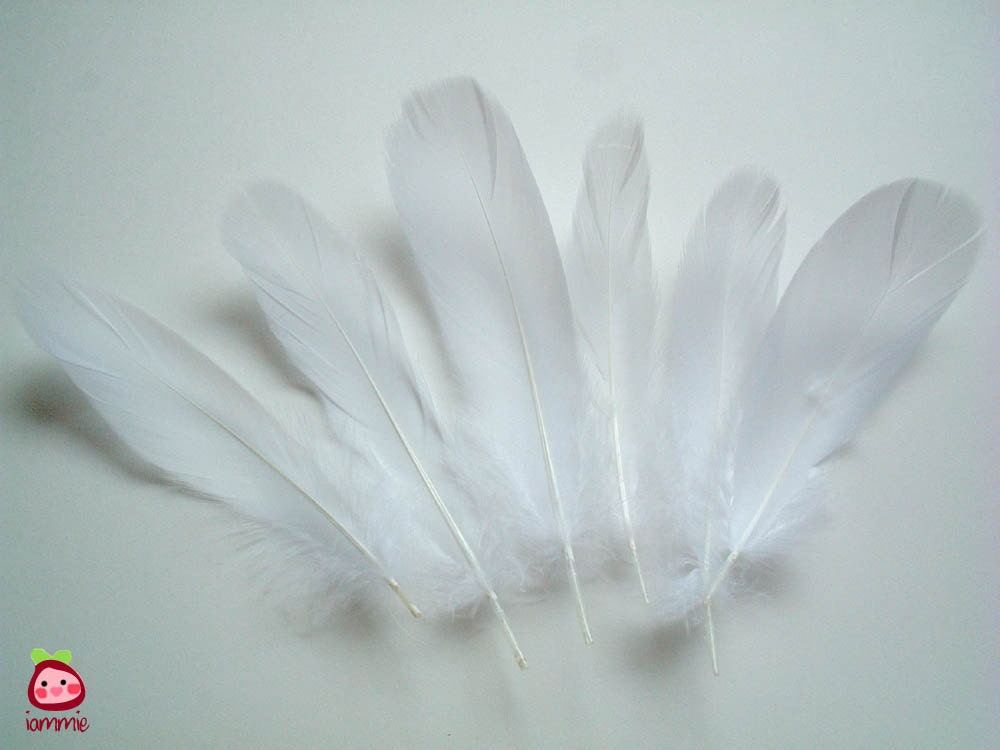 White Fake Feathers artificial feather faux feather fake