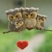Needle Felted Owl Ornament - Family of Four