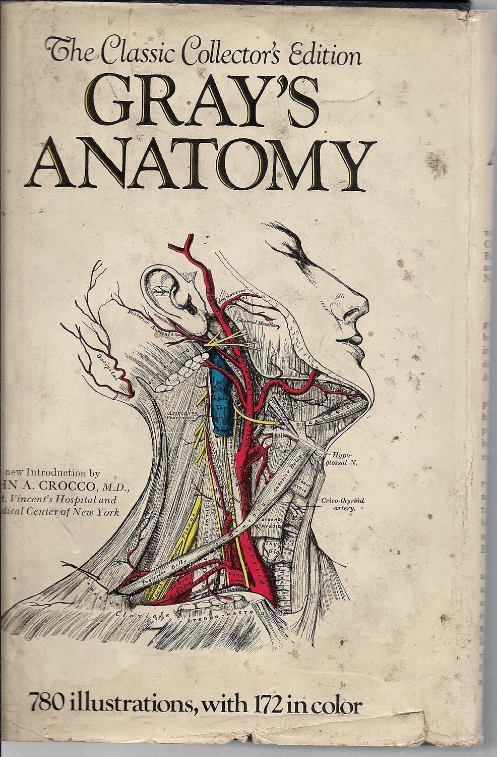 Gray's Anatomy Classic Collectors Edition 1977 by VIVALASVINTAGE