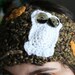 Owl Head Wrap