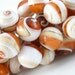 20 mm Snail Shell Beads ,5pcs