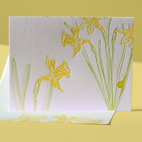 Daffodil Note Card