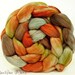 Hand Painted Wool Roving Merino Combed Top Spinning or Felting Fiber - 4.2 oz - AUSTRALIA