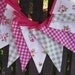 Pretty Pink and Green Gingham Banner Bunting ideal for Birthday Party Nursery Baby Shower Wedding or Photo prop Ready to ship