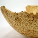 The Ancient Ones - Wormy Box Elder Burl Bowl