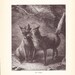 1880 Animal Print - Fox