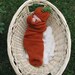 Photo Prop Pumpkin Hat and Cocoon, Newborn knit pumpkin photo Prop,Pumpkin set, Pumpkin cocoon, Thanksgiving, Pumpkin photo prop set