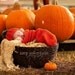Photo Prop Pumpkin Hat and Cocoon, Newborn knit pumpkin photo Prop,Pumpkin set, Pumpkin cocoon, Thanksgiving, Pumpkin photo prop set