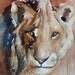 Lion PRINT (from original lion painting) 8 x 10 Lion art print in white cobalt blue cream beige tan brown orange rust sepia