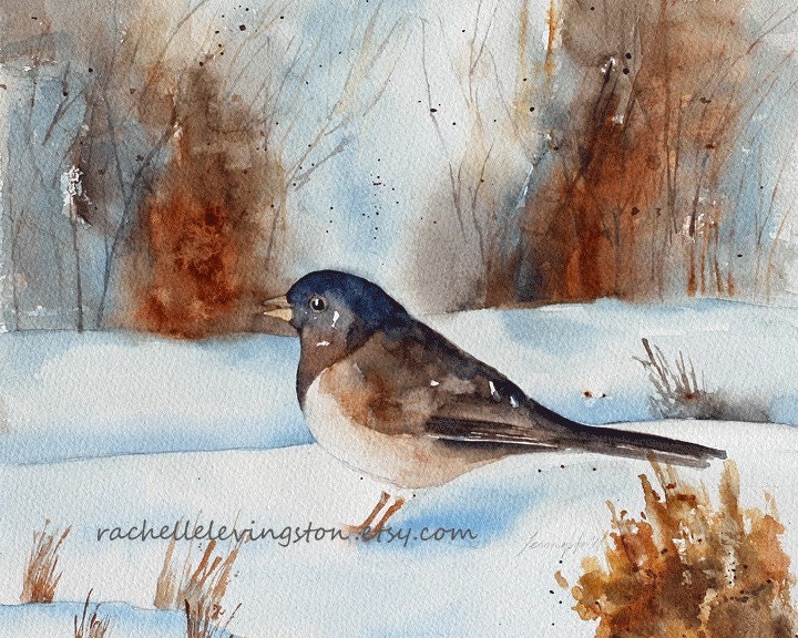 Large Winter Bird PRINT / Wall art Dark Eyed Junco Bird art