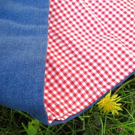 Picnic Blanket in Red Gingham / Eco friendly Retro and Roomy