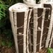 RESERVED - Organic Baby Blanket in Brown Wooland Forest Birch Trees and Birds - Rustic Kids Bedding (last one)