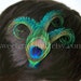 EXCLUSIVE Item and Price - Petit Reverie - Peacock Feather Clip - LAST DAY