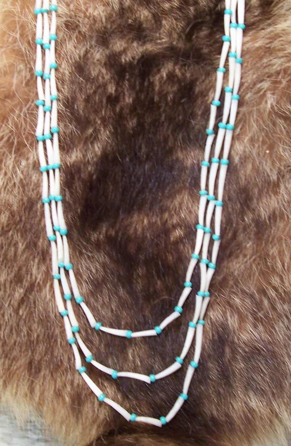 Dentalium shell necklace Clearance