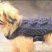 Vintage Crochet Pattern Dog Sweaters