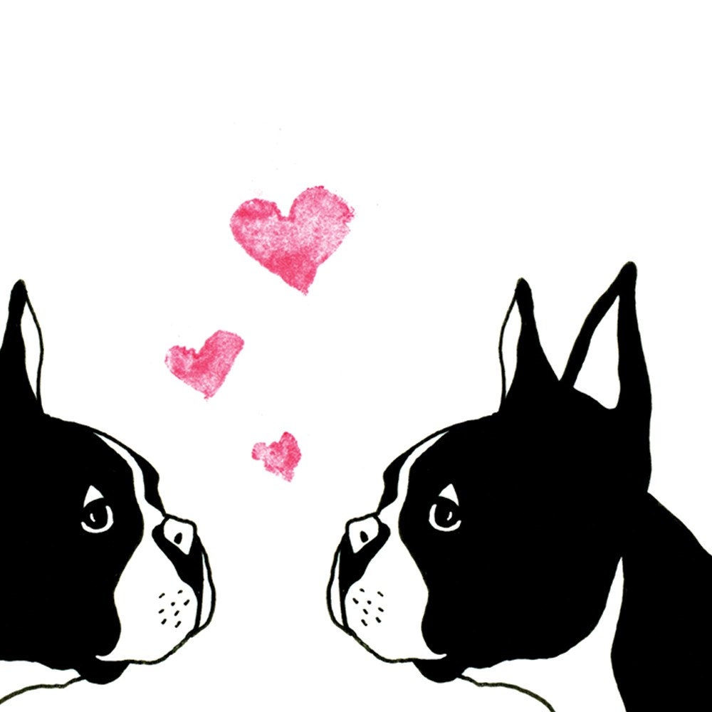 Boston Terrier Valentine Love Greeting Card