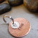 STAR TREK PET TAG One inch copper pet tag