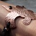 Fleur de lis Bracelet, Ready to ship
