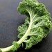 Organic Ragged Jack Kale Heirloom Vegetable Seeds