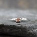 Diamond In The Rough Uncut Diamond Solitaire Engagement Ring - Sterling Silver Ring - Handmade and Designed by A Second Time
