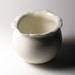 Torn Edge Dish - ITEM RESERVED FOR Manasa Kalkunte