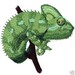 Epic Teal Veiled Chameleon Lizard Steam Punk Iron on Patch