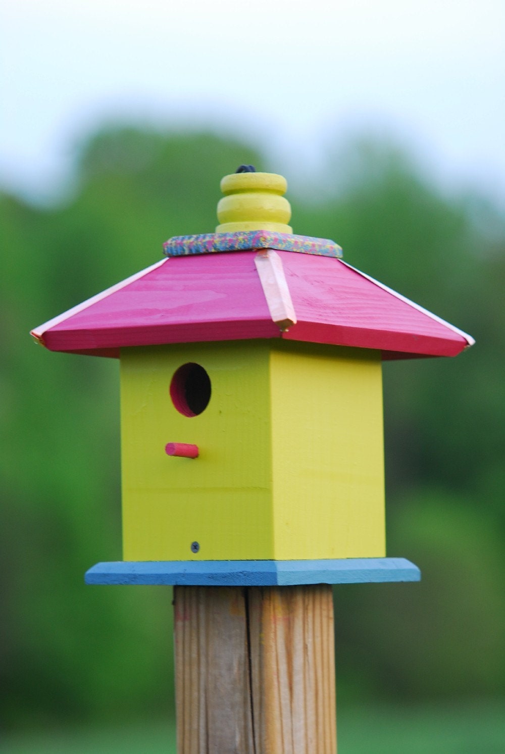 How to paint wood birdhouses