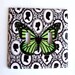 Silhouettes and Green Butterfly Double Light Switch Cover Ready Made