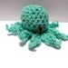 Octopus Hatchling