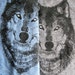 WOLF Scarves, tri-blend heather blue or grey, long scarf screenprinted, perfect gift for him or her, spooky eyes