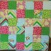 SALE Pop Garden Patchwork Quilt Heather Bailey Fabrics