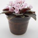 Self Watering Planter