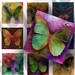 Colorful Butterflies 1 inch Squares - DigitalPerfection digital collage sheet 406