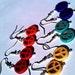 Peace sign earrings, choice of colors, one pair