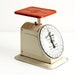 Vintage Trustworthy Deluxe Household Scale
