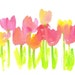 Bright Tulips in Watercolor