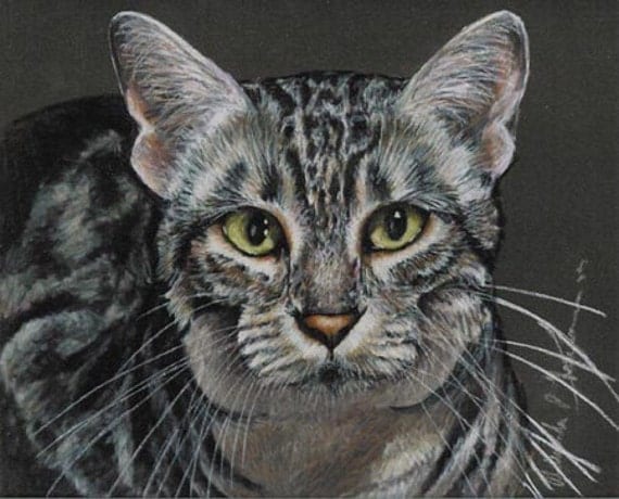 Download Colored Pencil Egyptian Mau Cat Drawing by Portraitsbyaleks