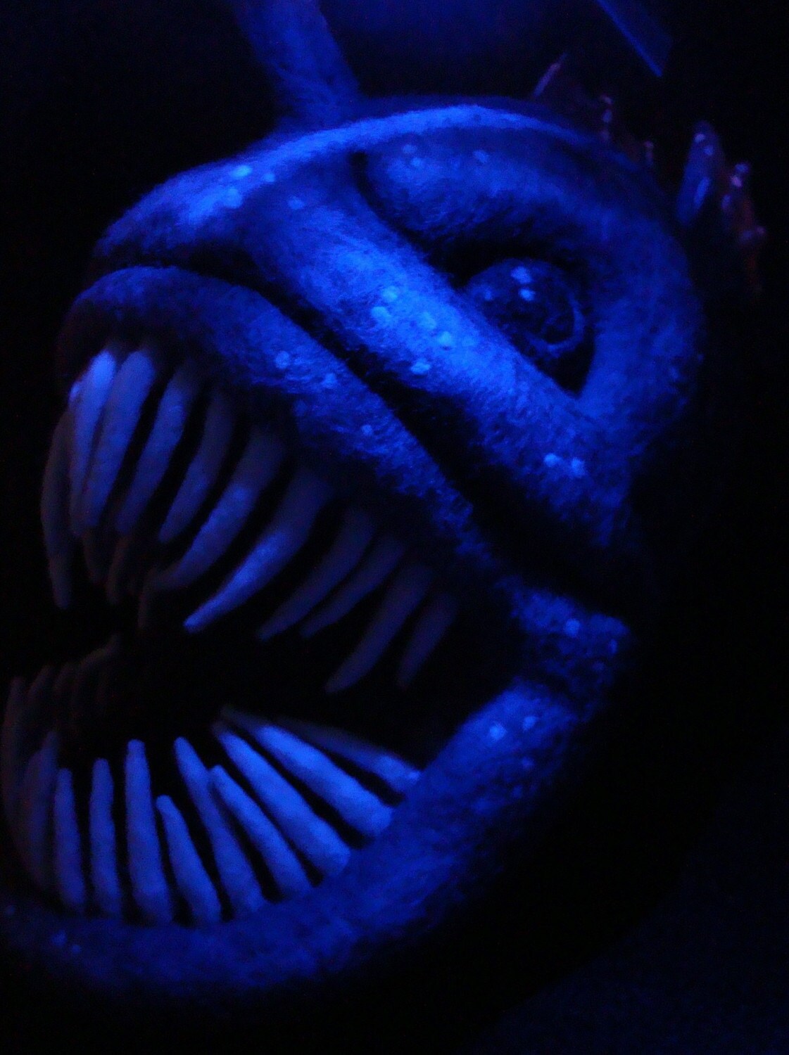 angler fish plush