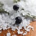 Tonic Botanical Bath Salts - SAMPLE